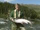 Fishing, Namsen river (Norway)